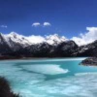 植发星yuchunyan668