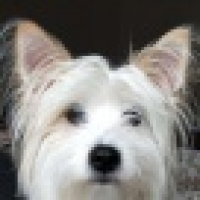 植发星岛谷幅贫