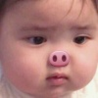 植发星小张89号