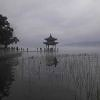 植发星我不是小孩子i