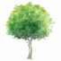 植发星女人的烦恼1979