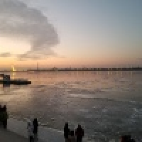 植发星亲亲小朵朵00