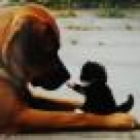 植发星山治FZaj2