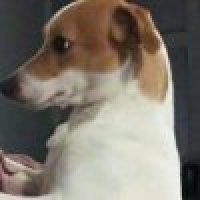 植发星悠悠__1瑴