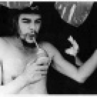 植发星子良522967663