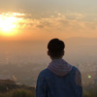 植发星大蛋挞521