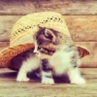 植发星我心飞扬201411