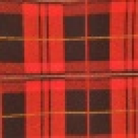 植发星中国加油6qE