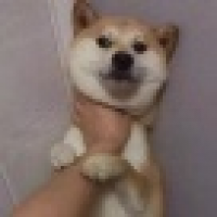  今天可以出门了吗