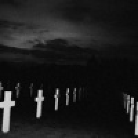 植发星sdsaertttryuik