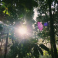 植发星斤斤CLgn1