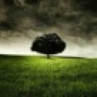 植发星幸o福o泡o泡