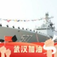 植发星塔是猪306