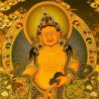 植发星哔哔◇00101