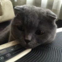 植发星散发春天气息