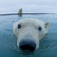 植发星什么情况SR5