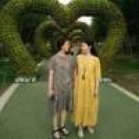 植发星很大成绩呆板