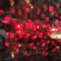 植发星小小猪比