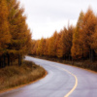 植发星小可心O4z珘熫