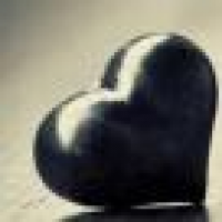 植发星我爱毛爷爷hh