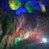 植发星于大庆0118