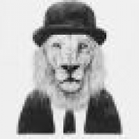 植发星斯白法雷