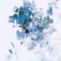 植发星春日野穹78i4q9