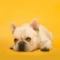 植发星无限专用1123