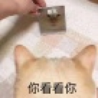 植发星放开那小偷