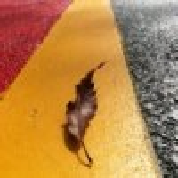 植发星懷戀著那些年