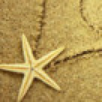 植发星y泪流满面