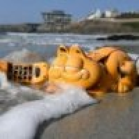 植发星婷婷丶梦梦