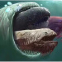 植发星德古郝拉