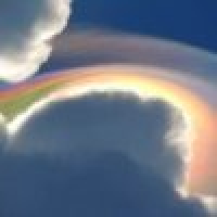 植发星小世嘉22