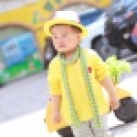 植发星木子三石ok