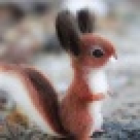  月亮宝宝四十六