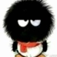 植发星春日野穹300