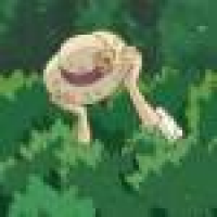 植发星扣279931973扣