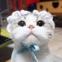 植发星文爷君雈驣镎