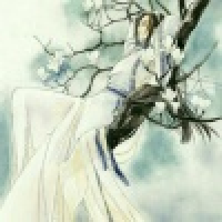 植发星文者天堂丶媡呠