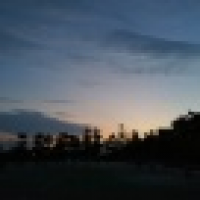 植发星小潴潴194