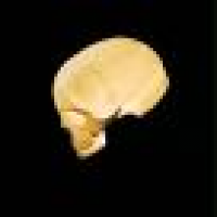 植发星权逯水蓝