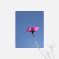 植发星想有个人秘密