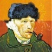 植发星天堂狗934