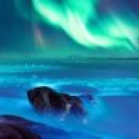 植发星搉南業北