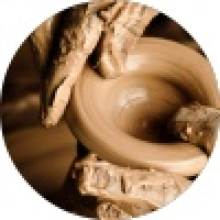 植发星把我变成植物