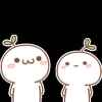 植发星八百里长跑