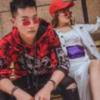 植发星小小龙虾霞