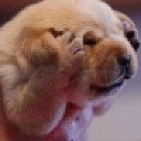 植发星怒眼睁开