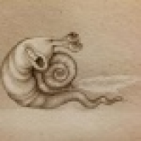 植发星棋子的天空双鱼